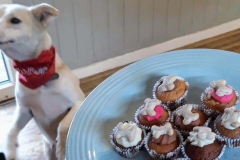 123945580_420915569311614_2258306071658184603_n