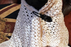 132308652_457946488941855_2729629440620309650_n