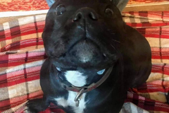 132308652_457946852275152_6400951016774411697_n