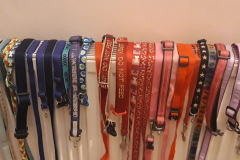 135264174_465438181526019_3273073572054873056_n