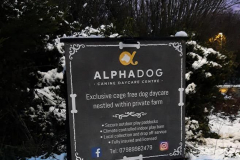 138081807_470235397712964_8499346046663830706_n