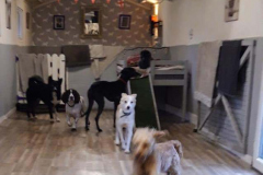 146937676_488714655865038_6686892698655398976_n