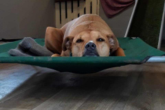 160997013_513205286749308_3272177949697533373_n