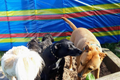 168642987_533454711391032_8260931812045300355_n