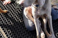 168692993_533454518057718_4611326708738110491_n