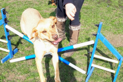 168858462_533455071390996_3822862927212682232_n