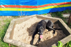 168907289_533454431391060_1959689651894304231_n