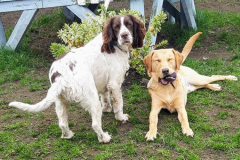 169017404_533455181390985_8028716641150494226_n