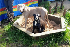 169056978_533454901391013_3477811205929395218_n