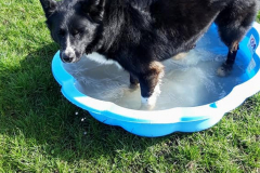 169069097_533454848057685_8394124927267225791_n