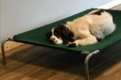 172725773_563078601761976_4845302932283300954_n