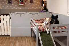 129627596_444000027003168_2480979246459057745_n