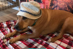 132299158_457947285608442_1288328427516541158_n