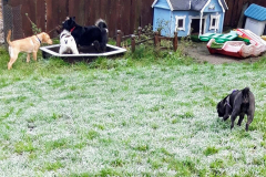 137517578_470235534379617_6281579145423790971_n