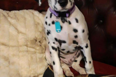 142279294_479817163421454_5664395779569637018_n