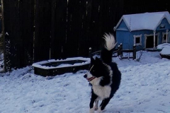 150192671_492672418802595_6485770222186160099_n