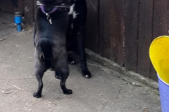 161033909_513204570082713_6332910635708078537_n