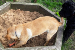 165981128_522838599119310_4737940029313564754_n