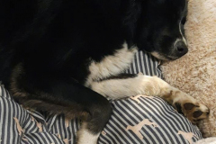 166792190_522838955785941_8950661250389342382_n