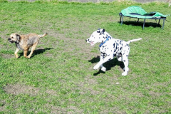 166797080_522839225785914_5168665238860918312_n