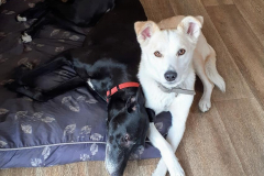 177696883_572475917488911_1087872481219101248_n