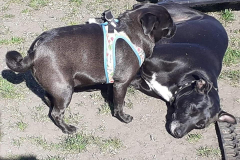 177883456_572477394155430_2252451470522544354_n