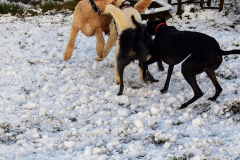 1_141844946_479817620088075_7040672303957748744_n