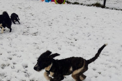 1_142686873_479816866754817_2281615285401709697_n