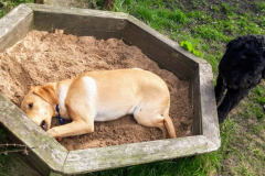 1_166182067_522838645785972_2851958638741921136_n