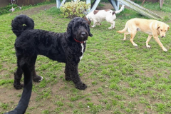 1_168720069_533455231390980_3147168823332428964_n