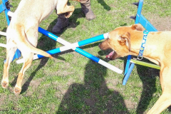 1_168847966_533455361390967_1908447236731013255_n