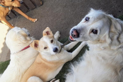 1_169672572_533454454724391_5918641866478776232_n