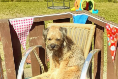 1_177954151_572476097488893_8142119348732065661_n