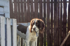 1_178162993_572476760822160_1344893656695852842_n