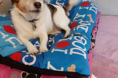 1_190250387_590637752339394_1535220391549638487_n