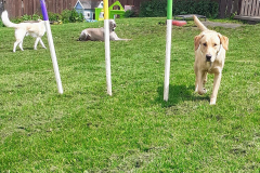 1_192722219_595554398514396_1867960493387276780_n