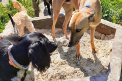 1_198261133_601116517958184_618713614103605936_n