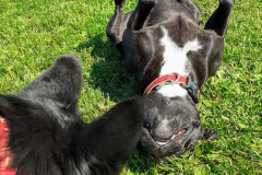 1_199345227_601116817958154_5351889239989026020_n