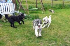 1_202402403_609745303761972_1004360334649868269_n