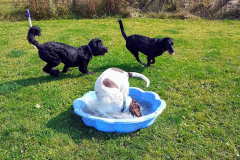 1_233957273_642302430506259_8534637317330679444_n