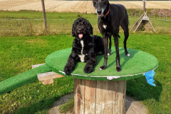 1_241853102_668219274581241_3101740648065282573_n