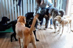 205124274_614526426617193_5060600734728372155_n