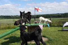 216688651_622966039106565_5223359005159228618_n