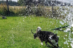 224731744_634052507997918_762709218306440328_n