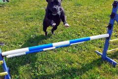 236903739_646700906733078_8323122314469166727_n