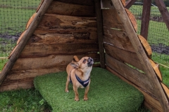 IMG_20191026_132608_1