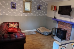 MVIMG_20191016_124331