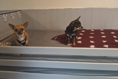 MVIMG_20191026_130109