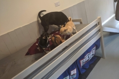 MVIMG_20191026_130131