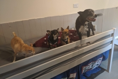 MVIMG_20191026_130137